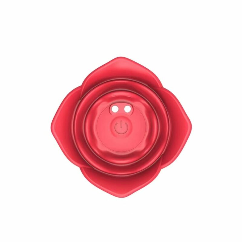 Anal Toys - Image 4