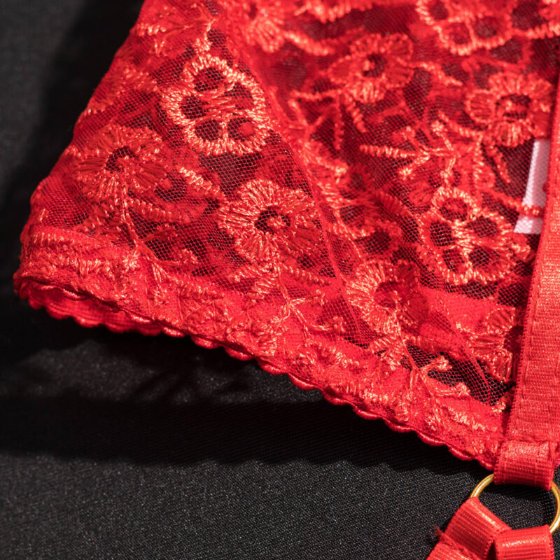 Embroidered Garter Strap Sexy Lingerie - Image 5