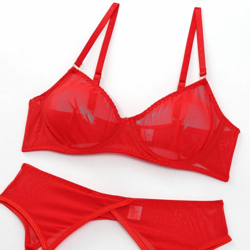 Three-piece Sexy Lingerie Garter Belt - Image 3